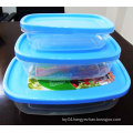 China High Quality Single Plastic Food Box (ZB-01)